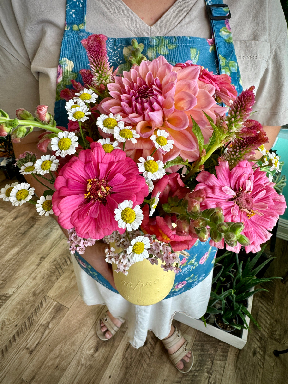 Full Term May - September